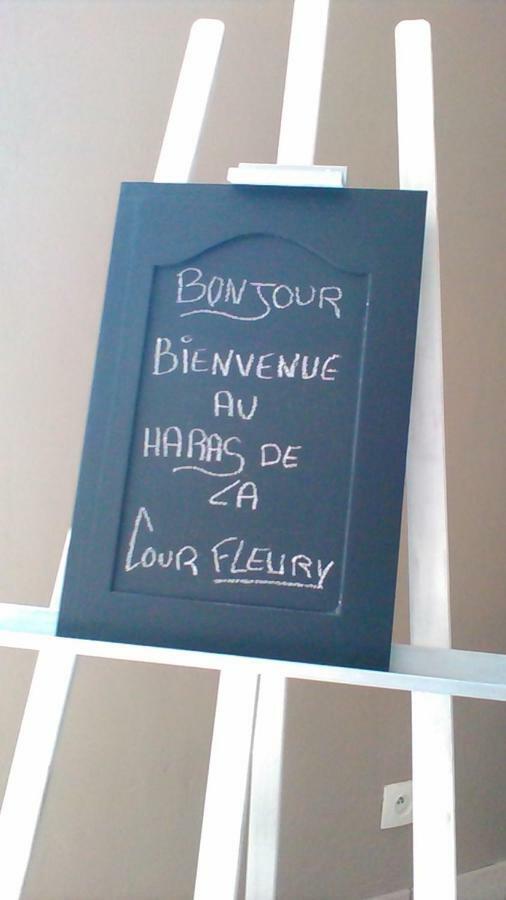B&B Haras De La Cour Fleury Saint-Michel-de-Livet Экстерьер фото